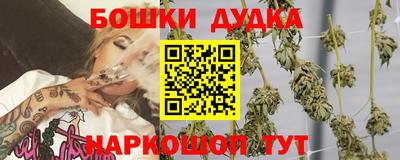 прущие крисы Будённовск