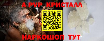 прущие крисы Будённовск