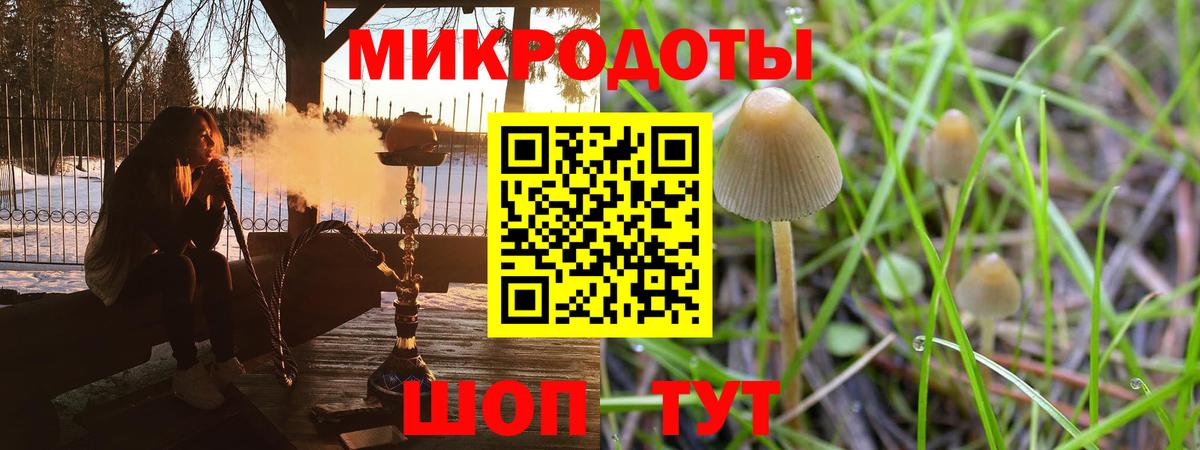 Галлюциногенные грибы мицелий  Вход с VPN  Липецк 